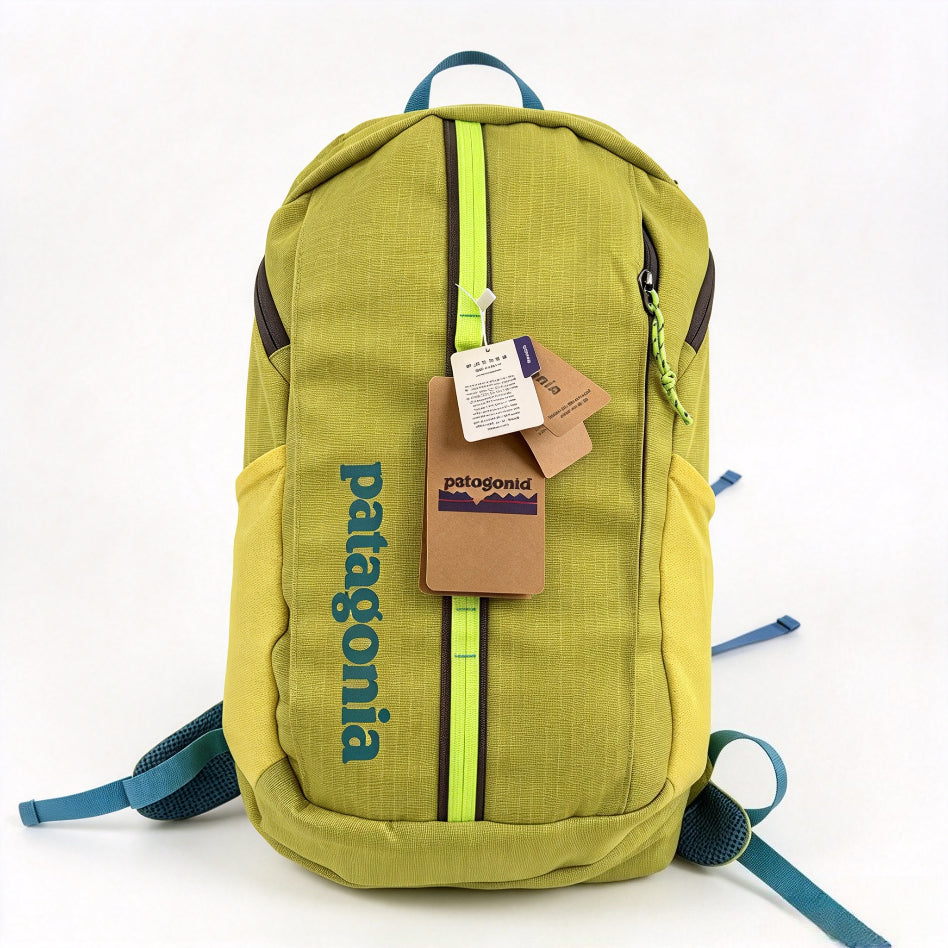 Patagonia Black Hole 25 Liter Backpack