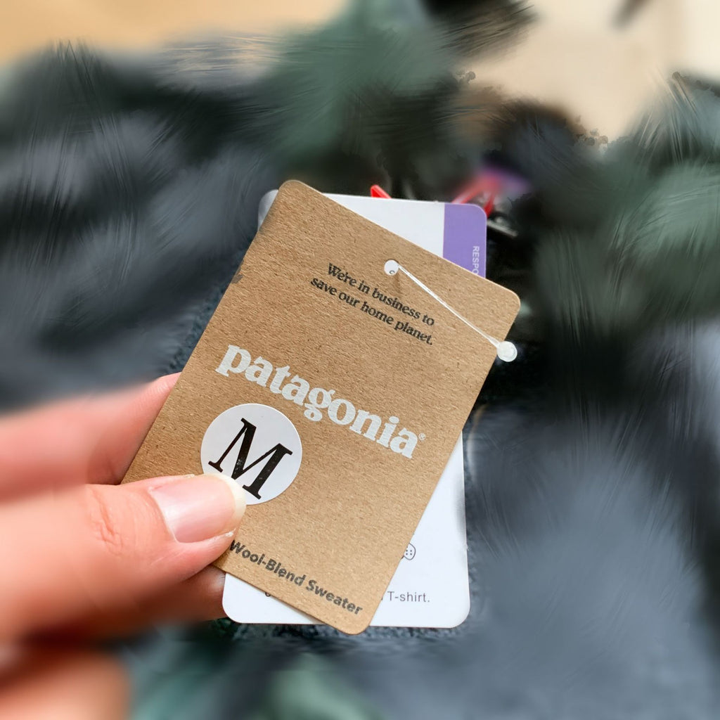 Patagonia Outdoor Slim Down Jacket