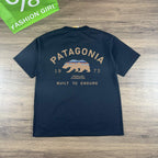 Patagonia 1973 Polar Bear Crewneck T-Shirt