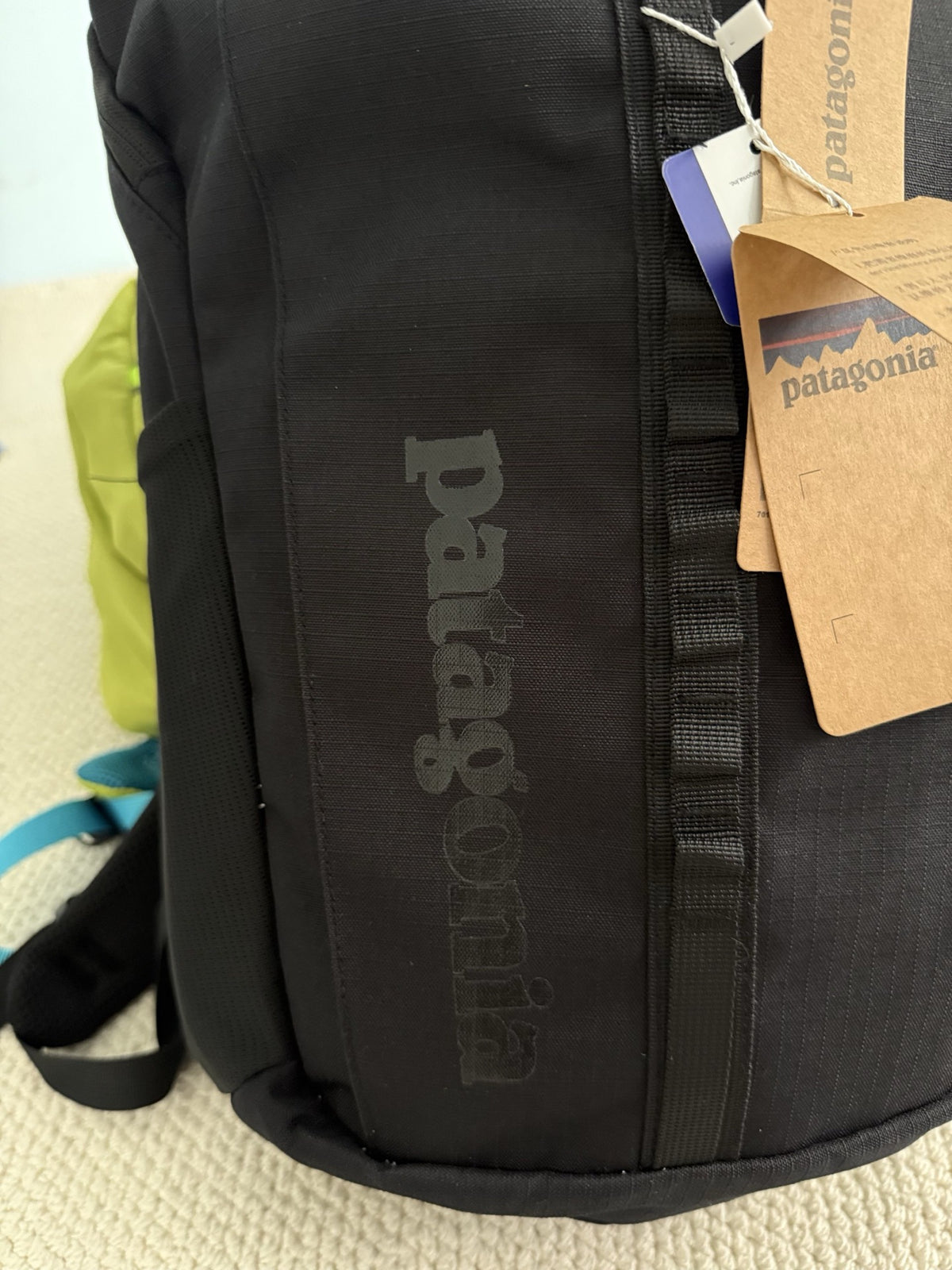 Patagonia Black Hole 25 Liter Backpack