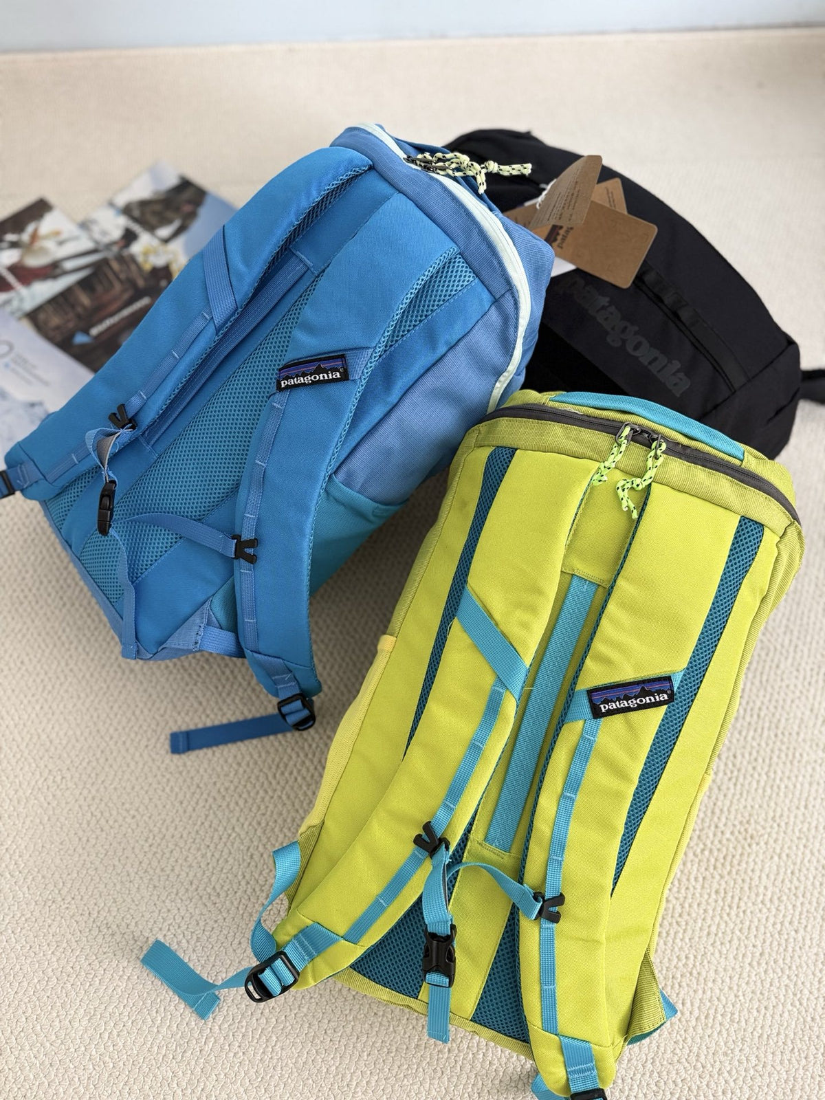 Patagonia Black Hole 25 Liter Backpack
