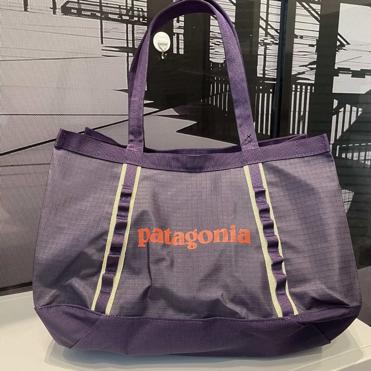 Patagonia Black Hole Tote 25L Black Hole Tote Bag