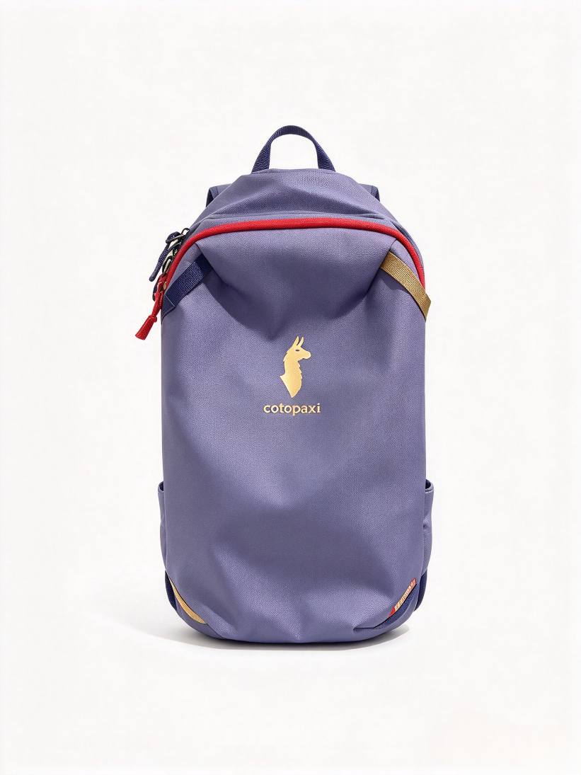 Cotopaxi Style Allpa Mini 20L Backpack